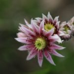 利来官方网站w66利来平台全面评测:信誉、合规与安全防护深入解析 317663ba