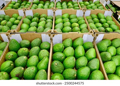 凯旋门网站最新开放时间与周边景点深度解读