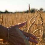 冠亚体育官方网站用户体验分析、界面设计评价与常见问题解决方案 4j95sx