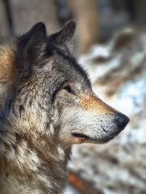 利发娱乐官网在不同地区的合规性与玩家权益保障评估 利发娱乐官网在不同地区的合规性与玩家权益保障评估