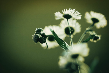 千亿体育网址背后商业模式的革新与市场竞争格局深度解读 千亿体育网址背后商业模式的革新与市场竞争格局深度解读