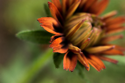 千亿赌博现象下的社会成本与司法干预路径研究 千亿赌博现象下的社会成本与司法干预路径研究