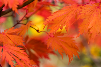 千亿平台官网的核心功能与安全合规要点