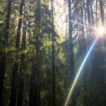 凯旋门app下载前置条件与下载安装流程完全解读 r13zzq