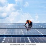 446期开奖号码深度剖析:中奖规律全面解析 06buk3fjj2