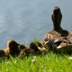 2025136期足彩开奖结果最新公布 0wxv8lc