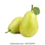 2025133期开奖号码公布及详细结果查询 1p4vh