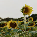 448三开奖结果最新公布,今晚中奖号码揭晓 6tk5bzt8r4