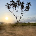 2025143期彩票开奖结果最新公布,大奖花落谁家? 713os9ru