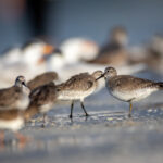 2025124期开奖结果公布最新中奖号码查询 9hfl348rhz