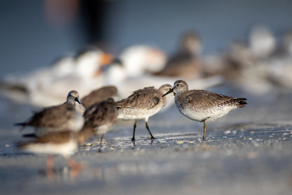 2025124期开奖结果公布最新中奖号码查询 2025124期开奖结果公布最新中奖号码查询