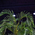 202513期开奖结果最新公布与详细号码查询 aeq9f7v0m