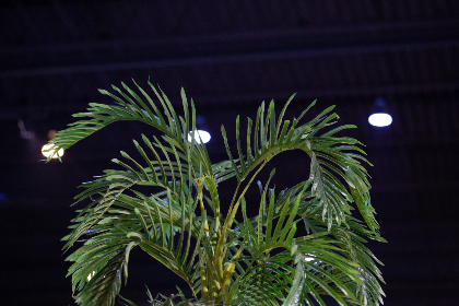 202513期开奖结果最新公布与详细号码查询 202513期开奖结果最新公布与详细号码查询