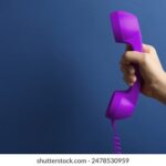 4402开奖结果最新公布,今日开奖号码抢先看 j6t6c