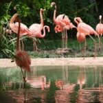 44001期最新开奖结果查询与详细号码分析 jja1o