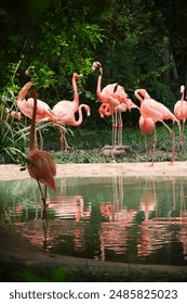 44001期最新开奖结果查询与详细号码分析 44001期最新开奖结果查询与详细号码分析