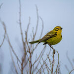 444000现场开奖最新结果查询与开奖详情 k2gp53