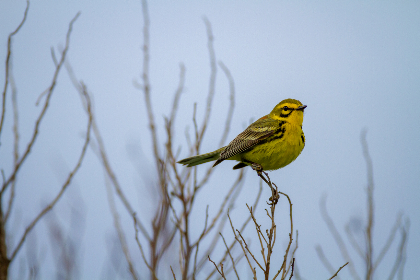 444000现场开奖最新结果查询与开奖详情 444000现场开奖最新结果查询与开奖详情