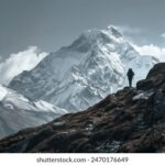 441期开奖号码最新公布与结果查询 qzmr5