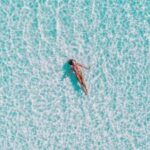 2025134期开奖结果公布最新中奖号码揭晓 r1bdgn3xv