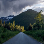 2025121期开奖结果最新公布与详细分析 wr336ee8aj