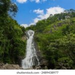 44799开奖结果最新公布,速看中奖号码详情 zhhs0jl6